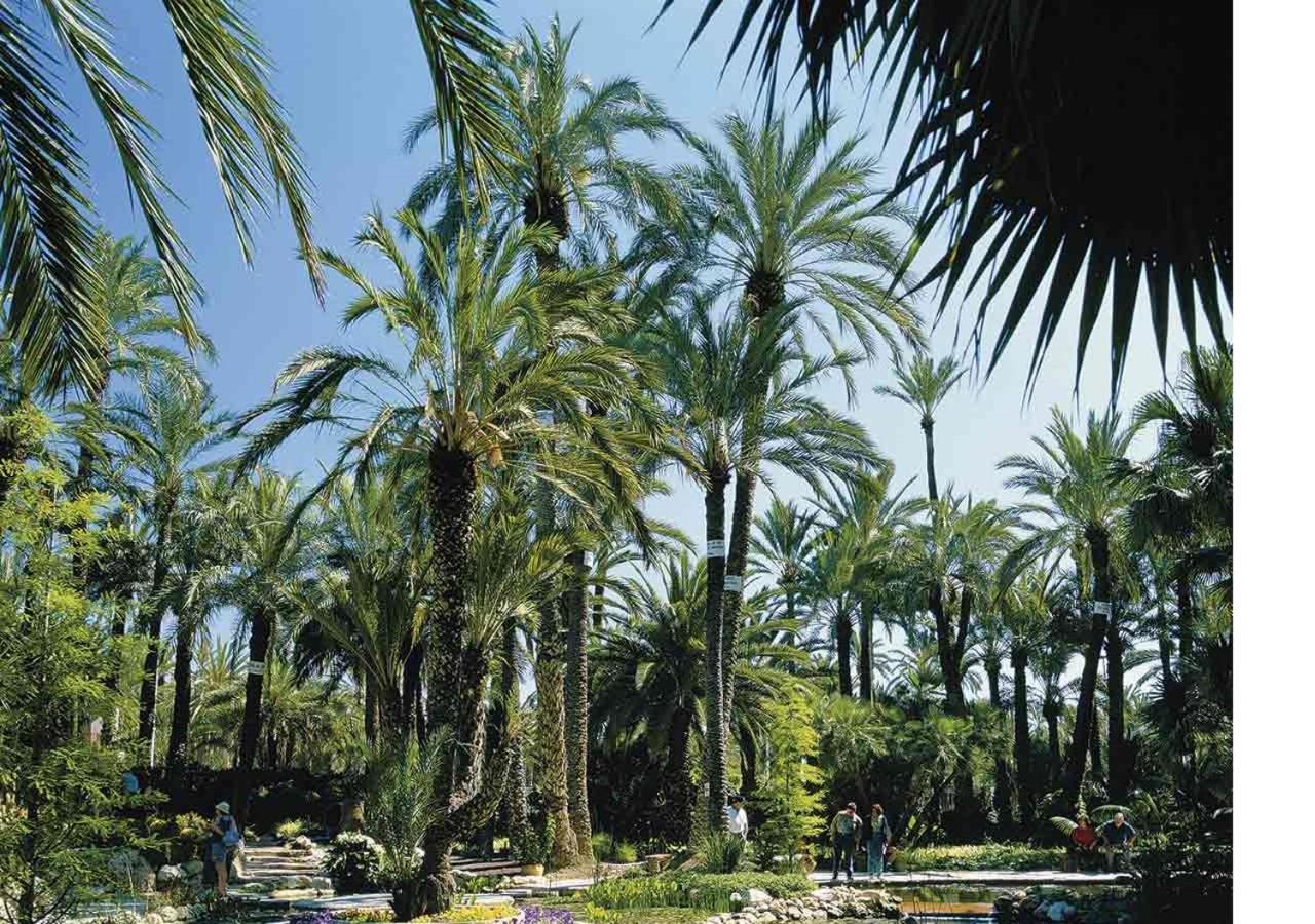Luxury New Apartment City Centre & Beach, Alicante Eksteriør bilde